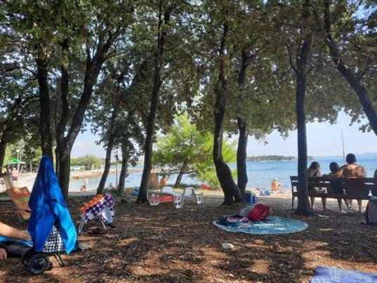 Apartments Summer Touch Petrčane Zewnętrze zdjęcie